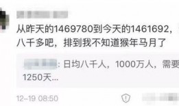 网友爆料最新排名,最新排名出炉，行业风云再起！